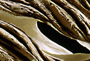 Canyon Arch &mdash; surface detail