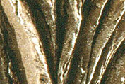 Falling Waters &mdash; surface detail